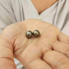 Load image into Gallery viewer, Civa Fiji Loose Saltwater Graded Pearl Pair #BO3026 - FJD$