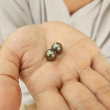 Load image into Gallery viewer, Civa Fiji Loose Saltwater Graded Pearl Pair #BO3026 - FJD$