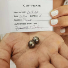 Load image into Gallery viewer, Civa Fiji Loose Saltwater Graded Pearl Pair #BO3026 - FJD$