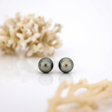 Load image into Gallery viewer, READY TO SHIP Civa Fiji Saltwater Graded Pearl Earrings #BO4000 - 925 Sterling Silver FJD$