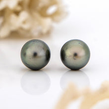 Load image into Gallery viewer, READY TO SHIP Civa Fiji Saltwater Graded Pearl Earrings #BO4000 - 925 Sterling Silver FJD$