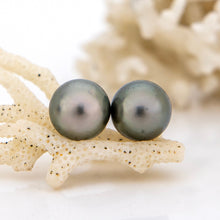 Load image into Gallery viewer, READY TO SHIP Civa Fiji Saltwater Graded Pearl Earrings #BO4000 - 925 Sterling Silver FJD$
