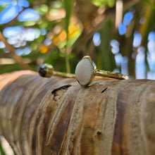 Load image into Gallery viewer, READY TO SHIP Civa Fiji Saltwater Bezel Set Pearl & Shell Cuff - 14k Gold Fill FJD$