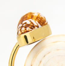 Load image into Gallery viewer, READY TO SHIP Civa Fiji Saltwater Bezel Set Pearl & Shell Cuff - 14k Gold Fill FJD$