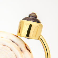 Load image into Gallery viewer, READY TO SHIP Civa Fiji Saltwater Bezel Set Pearl & Shell Cuff - 14k Gold Fill FJD$