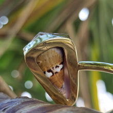 Load image into Gallery viewer, READY TO SHIP Civa Fiji Saltwater Bezel Set Pearl & Shell Cuff - 14k Gold Fill FJD$