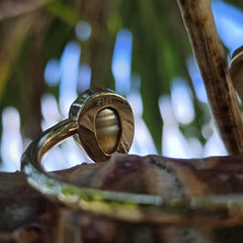 Load image into Gallery viewer, READY TO SHIP Civa Fiji Saltwater Bezel Set Pearl & Shell Cuff - 14k Gold Fill FJD$