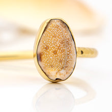Load image into Gallery viewer, READY TO SHIP Civa Fiji Saltwater Bezel Set Pearl & Shell Cuff - 14k Gold Fill FJD$