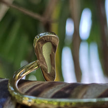 Load image into Gallery viewer, READY TO SHIP Bezel Set Seaglass & Shell Cuff - 14k Gold Fill FJD$