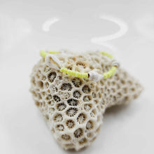 Load image into Gallery viewer, READY TO SHIP Shell & Bead Adjustable Bracelet - FJD$