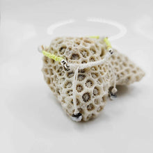 Load image into Gallery viewer, READY TO SHIP Shell & Bead Adjustable Bracelet - FJD$