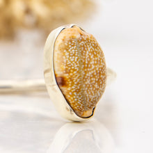 Load image into Gallery viewer, READY TO SHIP Bezel Set Shell Cuff - 925 Sterling Silver FJD$
