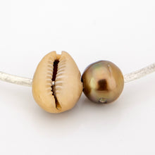 Load image into Gallery viewer, READY TO SHIP Civa Fiji Saltwater Pearl & Shell Bangle - 925 Sterling Silver FJD$
