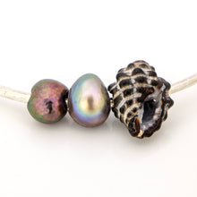 Load image into Gallery viewer, READY TO SHIP Freshwater Pearl & Shell Bangle - 925 Sterling Silver FJD$
