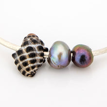 Load image into Gallery viewer, READY TO SHIP Freshwater Pearl & Shell Bangle - 925 Sterling Silver FJD$
