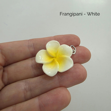 Load image into Gallery viewer, Online Charm Bar - Create your own with your choice of charm(s) from FJD$