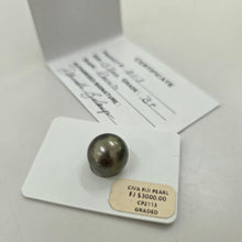 Load image into Gallery viewer, Civa Fiji Loose Saltwater Pearl with Grade Certificate #2113 - FJD$