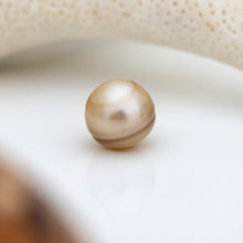 Load image into Gallery viewer, READY TO SHIP Bead Graded Saltwater Pearl Bracelet in 14k Gold Fill #2159 - FJD$
