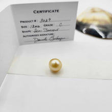 Load image into Gallery viewer, READY TO SHIP Unisex Woven Graded Civa Fiji Pearl Bracelet - FJD$