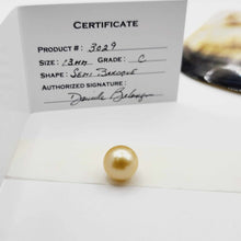Load image into Gallery viewer, READY TO SHIP Unisex Woven Graded Civa Fiji Pearl Bracelet - FJD$