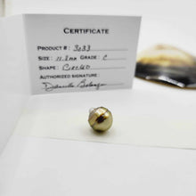 Load image into Gallery viewer, Civa Fiji Loose Saltwater Pearl with Grade Certificate #3033 - FJD$