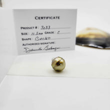 Load image into Gallery viewer, Civa Fiji Loose Saltwater Pearl with Grade Certificate #3033 - FJD$
