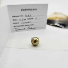 Load image into Gallery viewer, Civa Fiji Loose Saltwater Pearl with Grade Certificate #3033 - FJD$