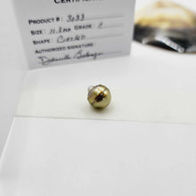 Load image into Gallery viewer, Civa Fiji Loose Saltwater Pearl with Grade Certificate #3033 - FJD$