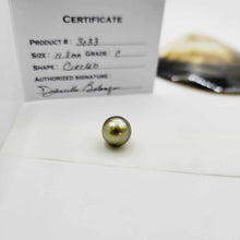 Load image into Gallery viewer, Civa Fiji Loose Saltwater Pearl with Grade Certificate #3033 - FJD$