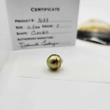 Load image into Gallery viewer, Civa Fiji Loose Saltwater Pearl with Grade Certificate #3033 - FJD$