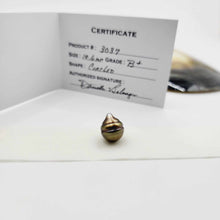 Load image into Gallery viewer, Civa Fiji Loose Saltwater Pearl with Grade Certificate #3037 - FJD$