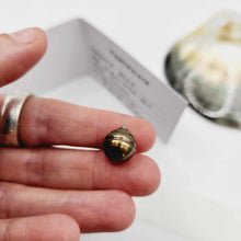 Load image into Gallery viewer, Civa Fiji Loose Saltwater Pearl with Grade Certificate #3037 - FJD$