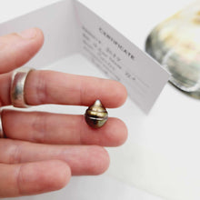 Load image into Gallery viewer, Civa Fiji Loose Saltwater Pearl with Grade Certificate #3037 - FJD$