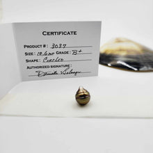 Load image into Gallery viewer, Civa Fiji Loose Saltwater Pearl with Grade Certificate #3037 - FJD$
