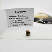 Load image into Gallery viewer, Civa Fiji Loose Saltwater Pearl with Grade Certificate #3037 - FJD$