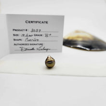 Load image into Gallery viewer, Civa Fiji Loose Saltwater Pearl with Grade Certificate #3037 - FJD$