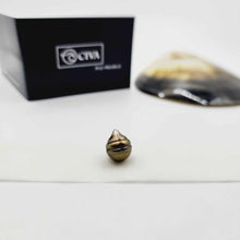 Load image into Gallery viewer, Civa Fiji Loose Saltwater Pearl with Grade Certificate #3037 - FJD$