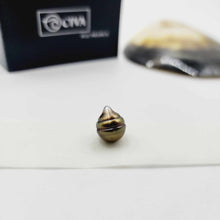 Load image into Gallery viewer, Civa Fiji Loose Saltwater Pearl with Grade Certificate #3037 - FJD$