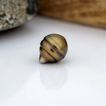 Load image into Gallery viewer, Civa Fiji Loose Saltwater Pearl with Grade Certificate #3037 - FJD$