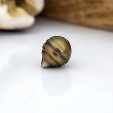 Load image into Gallery viewer, Civa Fiji Loose Saltwater Pearl with Grade Certificate #3037 - FJD$