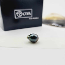 Load image into Gallery viewer, Civa Fiji Loose Saltwater Pearl with Grade Certificate #3040 - FJD$