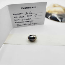 Load image into Gallery viewer, Civa Fiji Loose Saltwater Pearl with Grade Certificate #3042 - FJD$