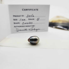 Load image into Gallery viewer, Civa Fiji Loose Saltwater Pearl with Grade Certificate #3042 - FJD$