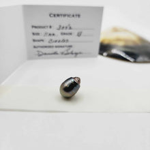 Load image into Gallery viewer, Civa Fiji Loose Saltwater Pearl with Grade Certificate #3042 - FJD$