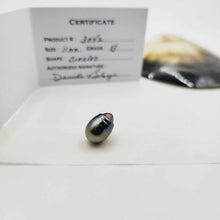 Load image into Gallery viewer, Civa Fiji Loose Saltwater Pearl with Grade Certificate #3042 - FJD$