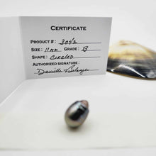Load image into Gallery viewer, Civa Fiji Loose Saltwater Pearl with Grade Certificate #3042 - FJD$