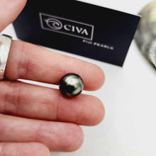 Load image into Gallery viewer, READY TO SHIP Unisex Woven Graded Civa Fiji Pearl Bracelet - FJD$