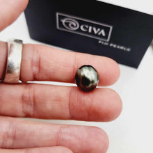 Load image into Gallery viewer, READY TO SHIP Unisex Woven Graded Civa Fiji Pearl Bracelet - FJD$