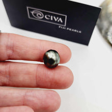 Load image into Gallery viewer, READY TO SHIP Unisex Woven Graded Civa Fiji Pearl Bracelet - FJD$