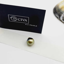 Load image into Gallery viewer, Civa Fiji Loose Saltwater Pearl with Grade Certificate #3046 - FJD$